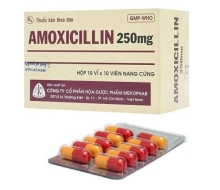Amoxicillin 250mg (100v) (hộp)