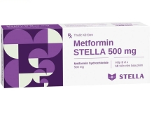 Metformin 500mg (30v) (hộp)