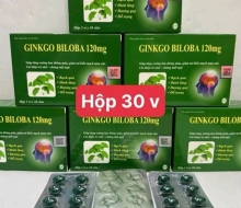 Ginkgo biloba 120mg (hộp/30 viên)