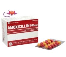 Amoxicilin 500mg (Mekophar) (100 Viên)