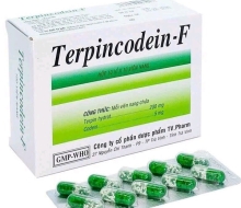 Terpincodein F (100v) (hộp)