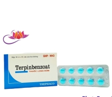 Terpinzoat (Thuốc Long Đờm) Thanh Hóa (100V)
