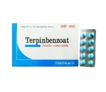 Terpinbenzoat Thanh Hóa(100V/Hộp)