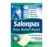 Salonpas pain relief patch (H/3M)