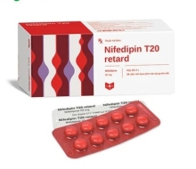 Nifedipin retard T20 (100v) (hộp)