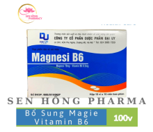 Magnesi - B6 (10 vỉ ×10 viên)