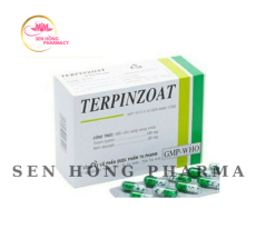 TERPINZOAT ( 10 vỉ*10 viên) (HỘP)